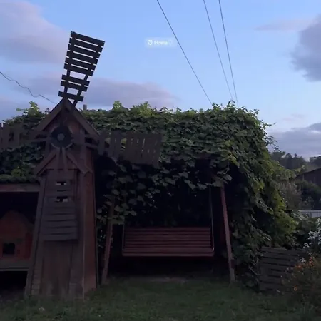 House Mold * Лазещина