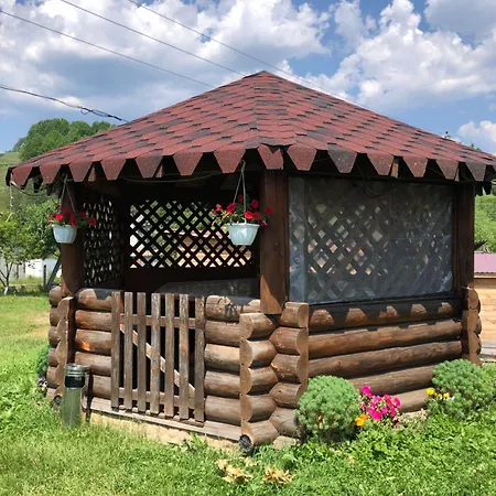 House Mold * Lazeshchyna