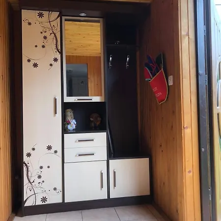 House Mold Lazeshchyna