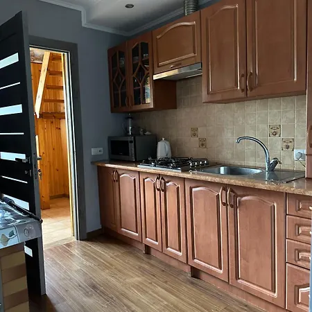 House Mold Lazeshchyna
