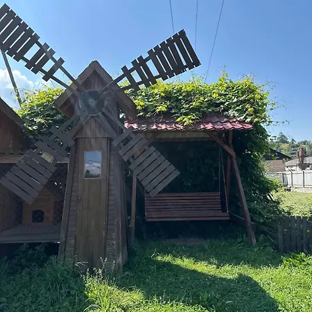 House Mold Lazeshchyna