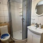 House Mold