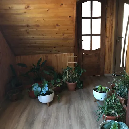 度假居 House Mold 拉泽希纳