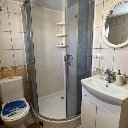 House Mold