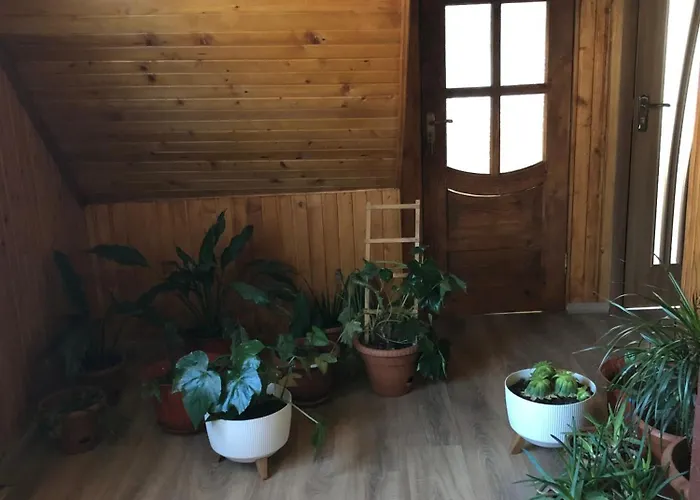 Casa de Férias House Mold Lazeshchyna
