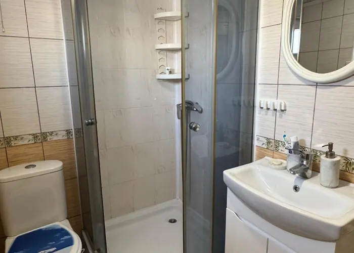 House Mold